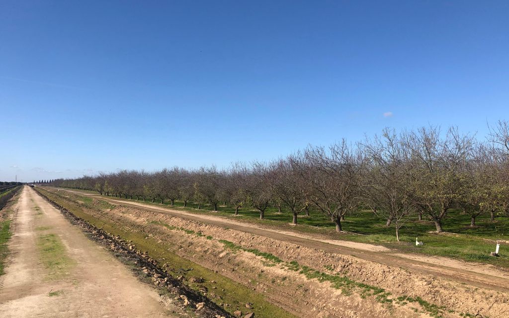 88.11 acres, Madera, CA, Property ID 10275944 Land and Farm