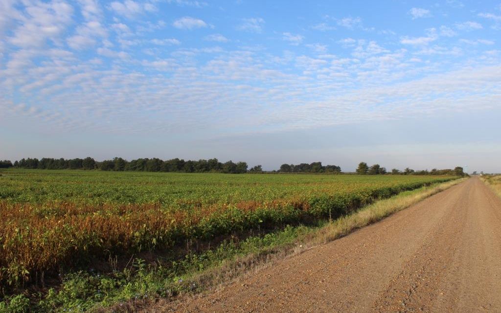 45.73 acres, Steele, MO, Property ID 10279194 Land and Farm