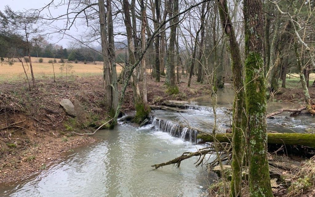 12.29 acres, Readyville, TN, Property ID 10281495 Land and Farm