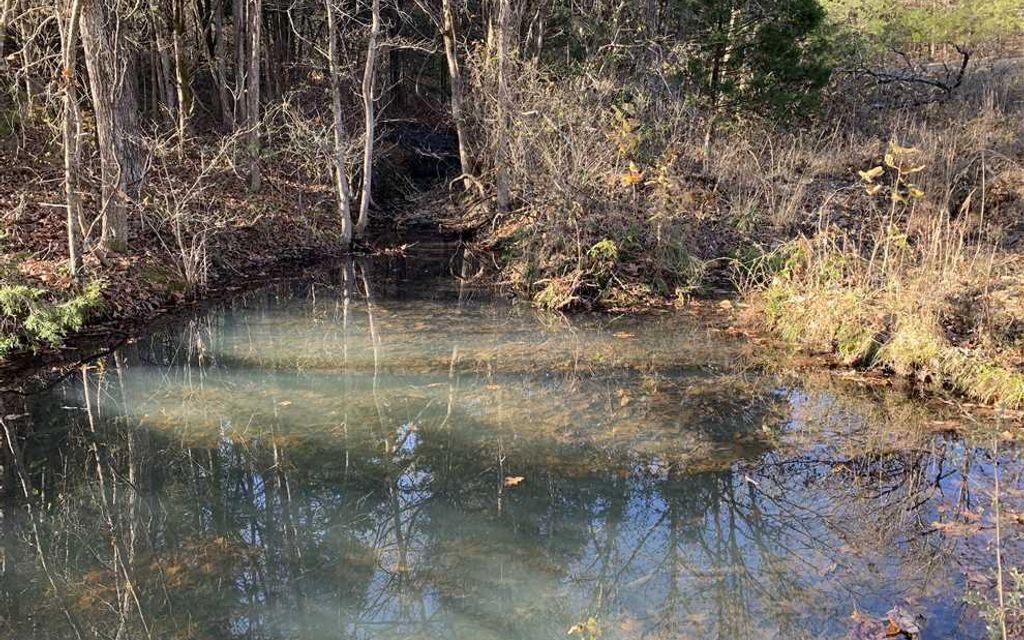 120 acres, Chadwick, MO, Property ID 10065300 Land and Farm