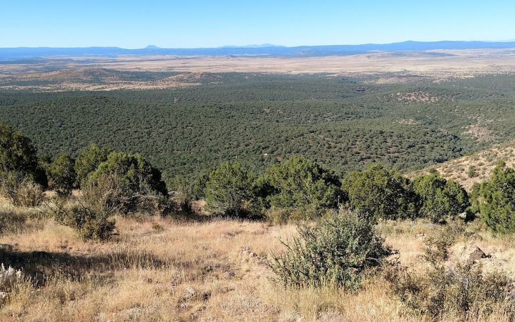 48.05 acres, Ash Fork, AZ, Property ID 10292144 Land and Farm