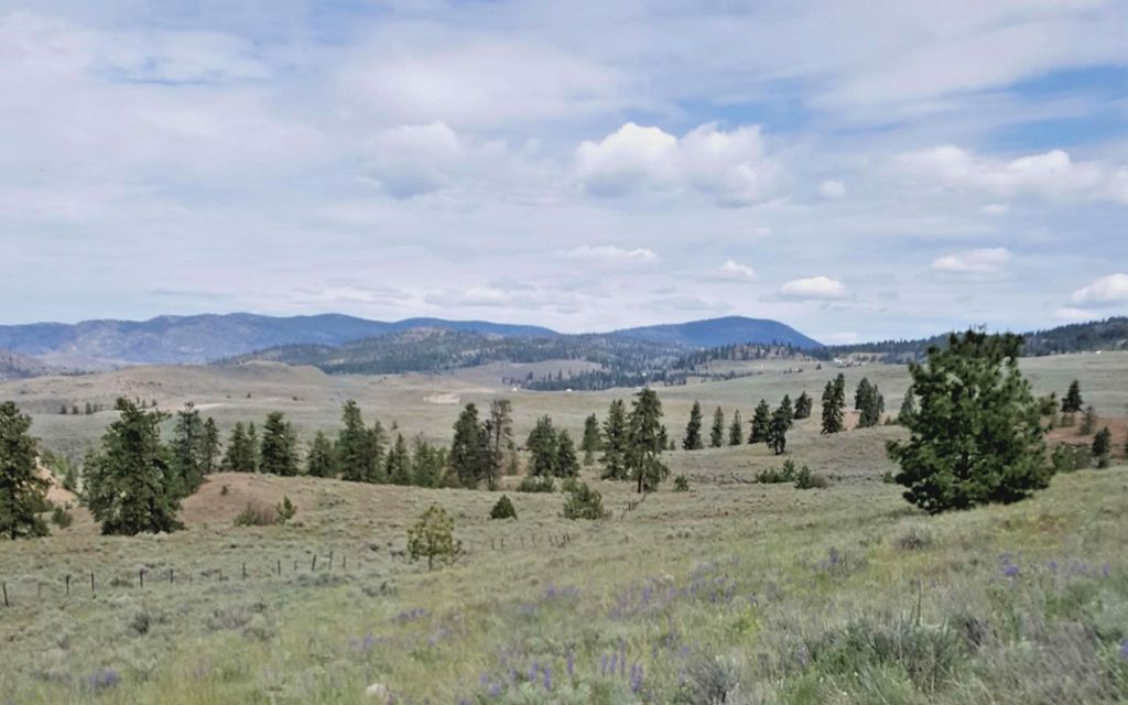 20.79 acres, Tonasket, WA, Property ID 10295878 Land and Farm