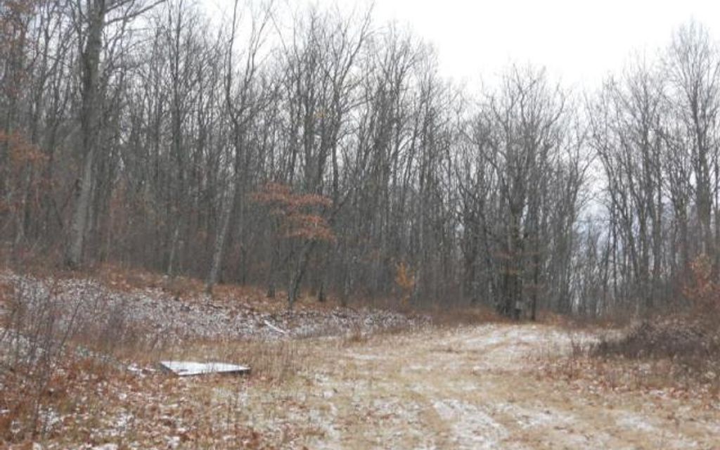 300 acres, Wapwallopen, PA, Property ID 10299855 Land and Farm