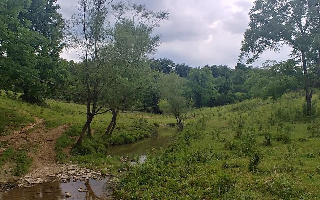 79.3 acres, Salvisa, KY, Property ID 10301317 Land and Farm