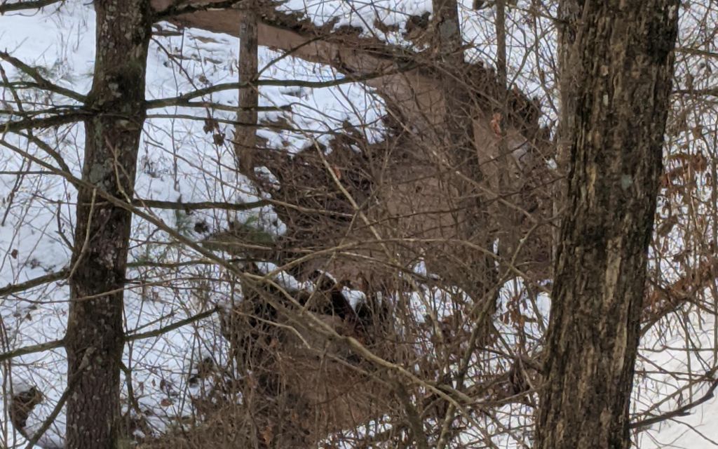 33 acres, Black River Falls, WI, Property ID 10311016 Land and Farm