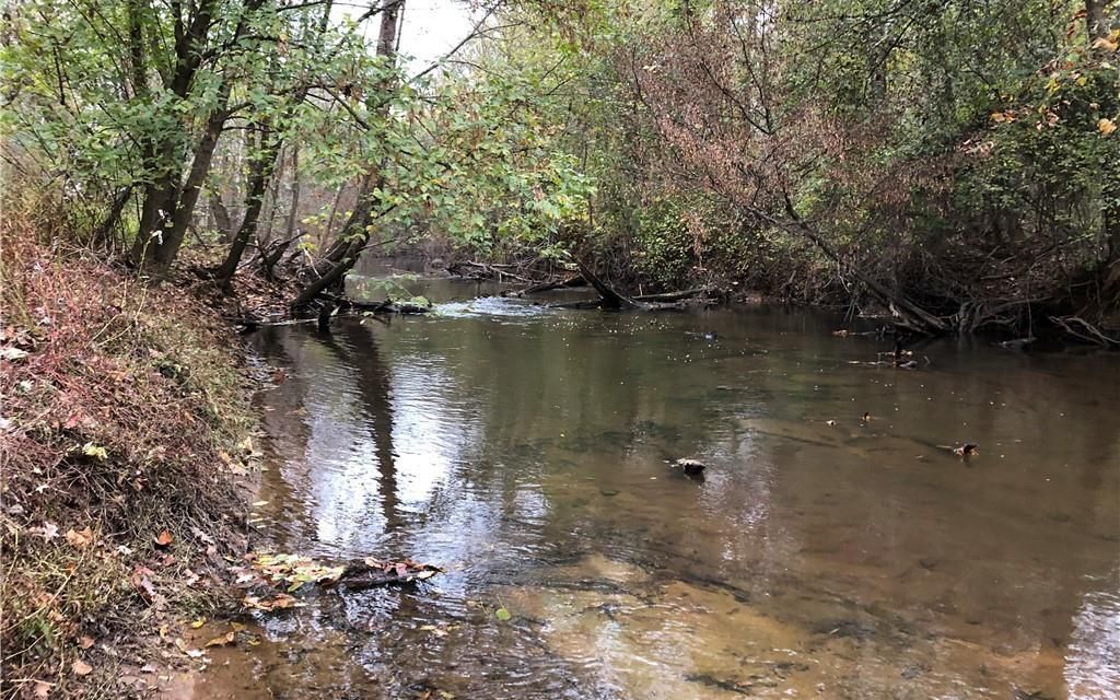 24.3 acres, Amelia, VA, Property ID 10315009 Land and Farm