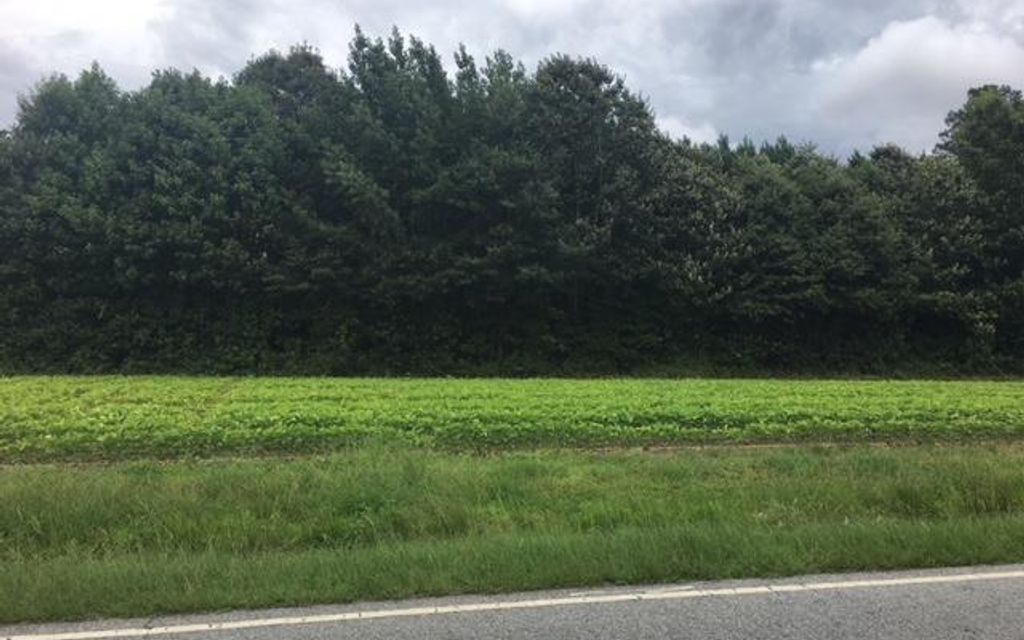 13.2 acres, Ahoskie, NC, Property ID 10317332 Land and Farm