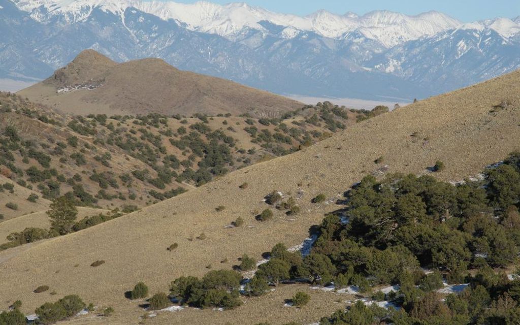 39 acres, Saguache, CO, Property ID 10321984 Land and Farm