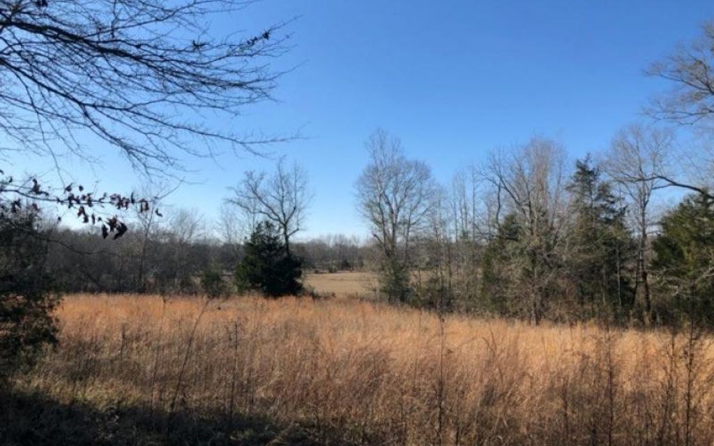 40 acres, Cedar Bluff, MS, Property ID 10322953 Land and Farm