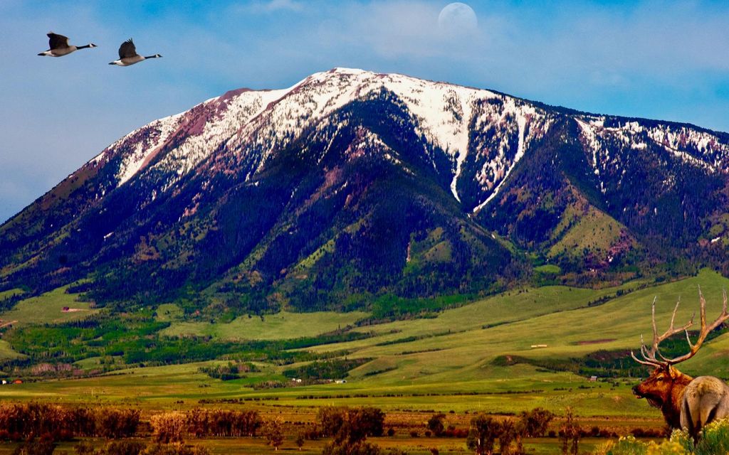 2.05 acres, Elk Mountain, WY, Property ID 10295555 Land and Farm