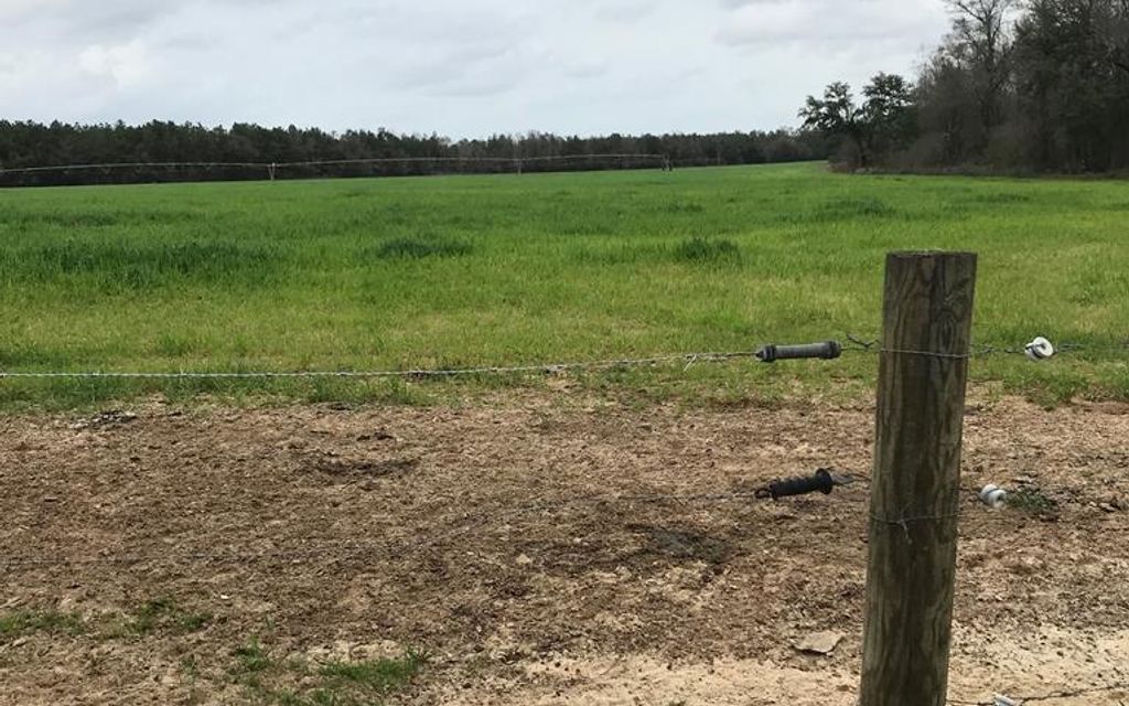 151.1 acres, Cedar Springs, GA, Property ID 10325697 Land and Farm