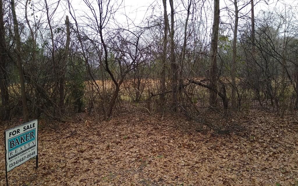 19 acres, Eufaula, AL, Property ID 10328998 Land and Farm