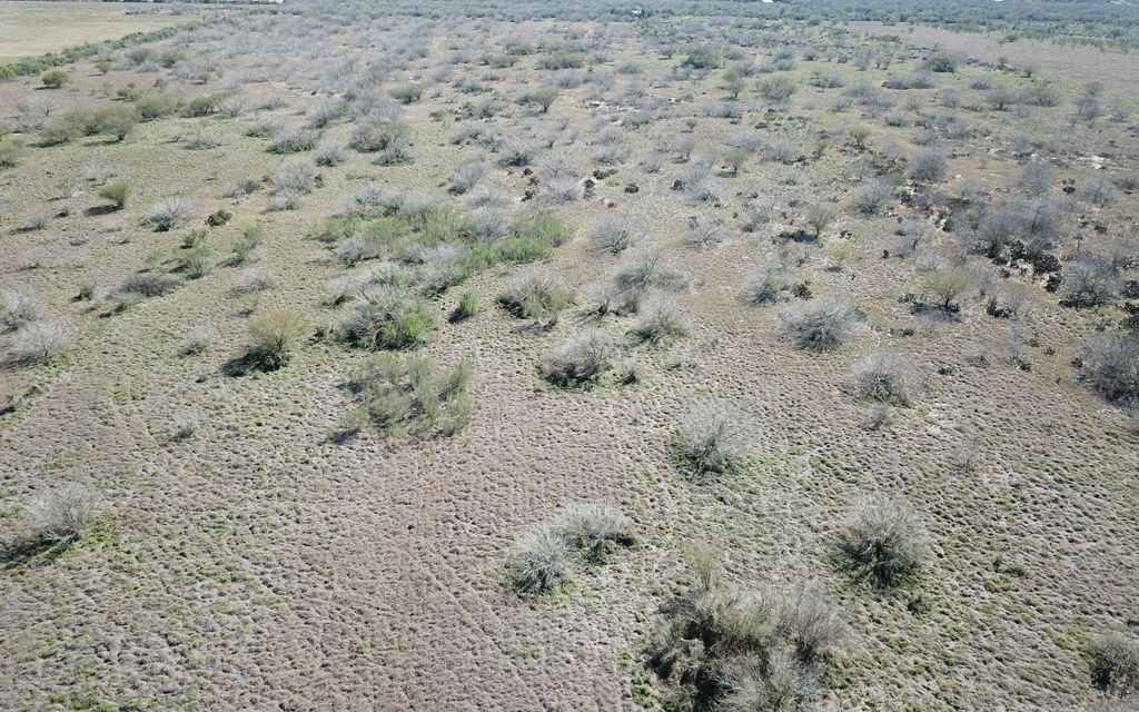 54 acres, Palito Blanco, TX, Property ID 10325263 Land and Farm