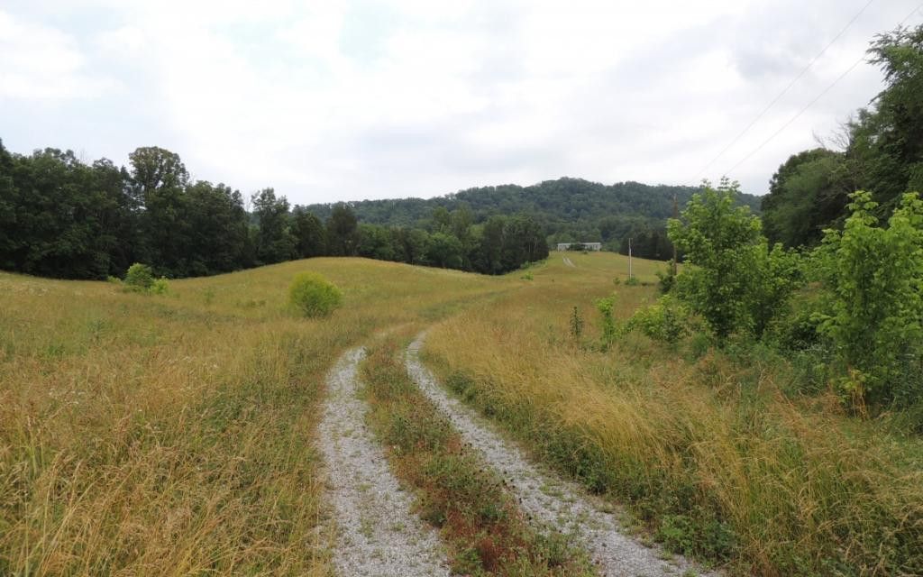 52 acres, Bulls Gap, TN, Property ID 10360931 Land and Farm