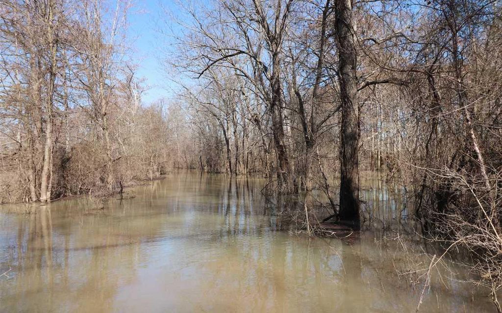 245 acres, Portia, AR, Property ID 9605109 Land and Farm