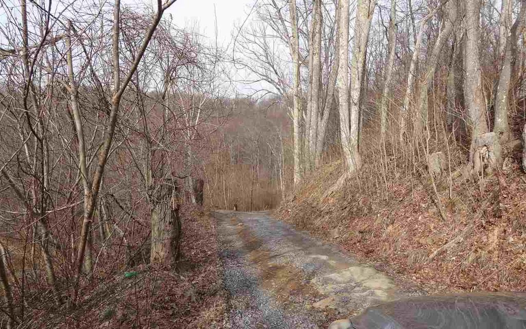 23.75 acres, Thornton, WV, Property ID 10362941 Land and Farm