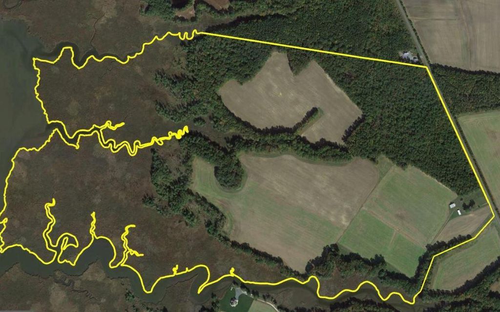 330 acres, Hurlock, MD, Property ID 8614921 Land and Farm