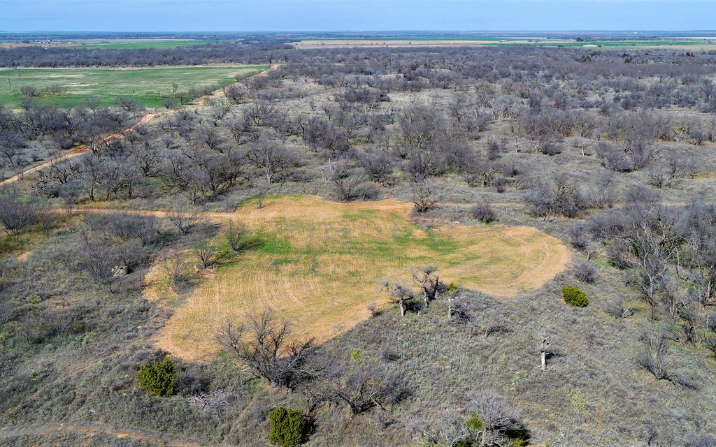 217 acres, Knox City, TX, Property ID 10365513 Land and Farm