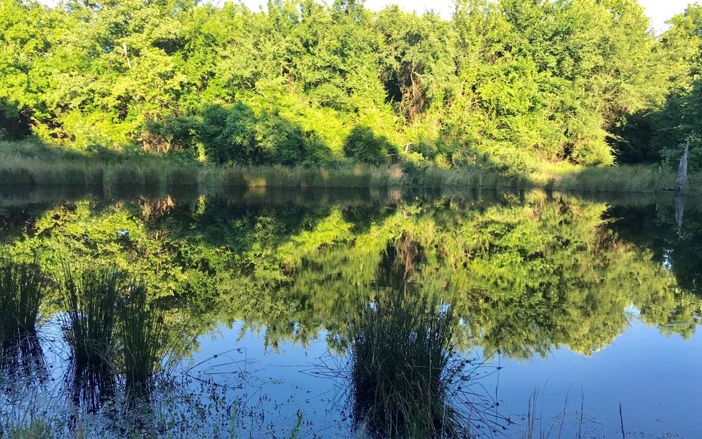 40 acres, Coleman, OK, Property ID 10377769 Land and Farm