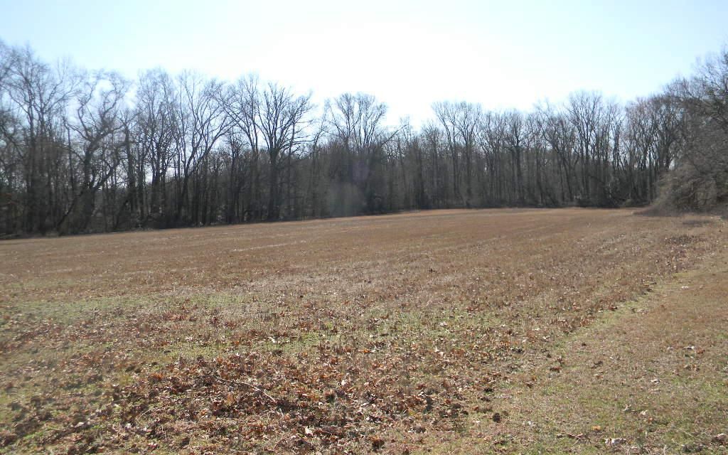 15 acres, Vineland, NJ, Property ID 10380919 Land and Farm