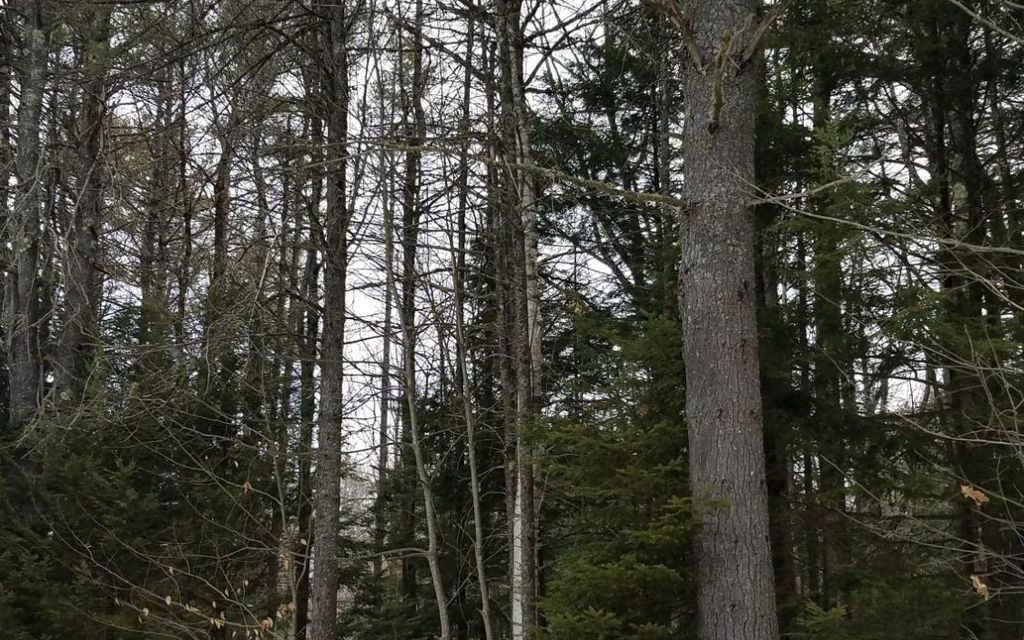 4.3 acres, Denmark, ME, Property ID 10384170 Land and Farm