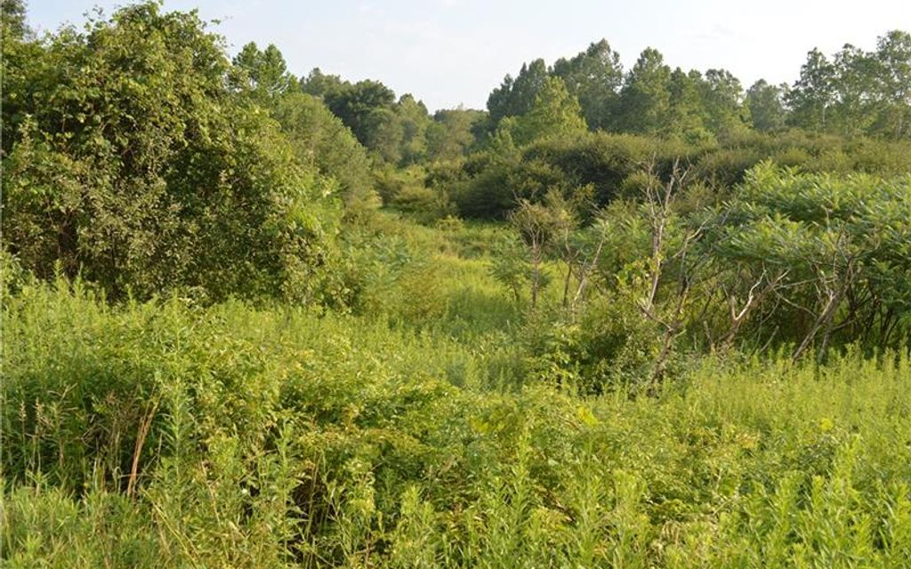 100 acres, Titusville, PA, Property ID 10382512 Land and Farm