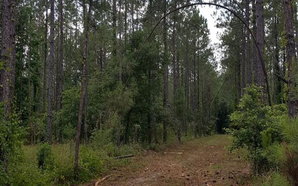 170 acres, Valdosta, GA, Property ID 10387252 Land and Farm