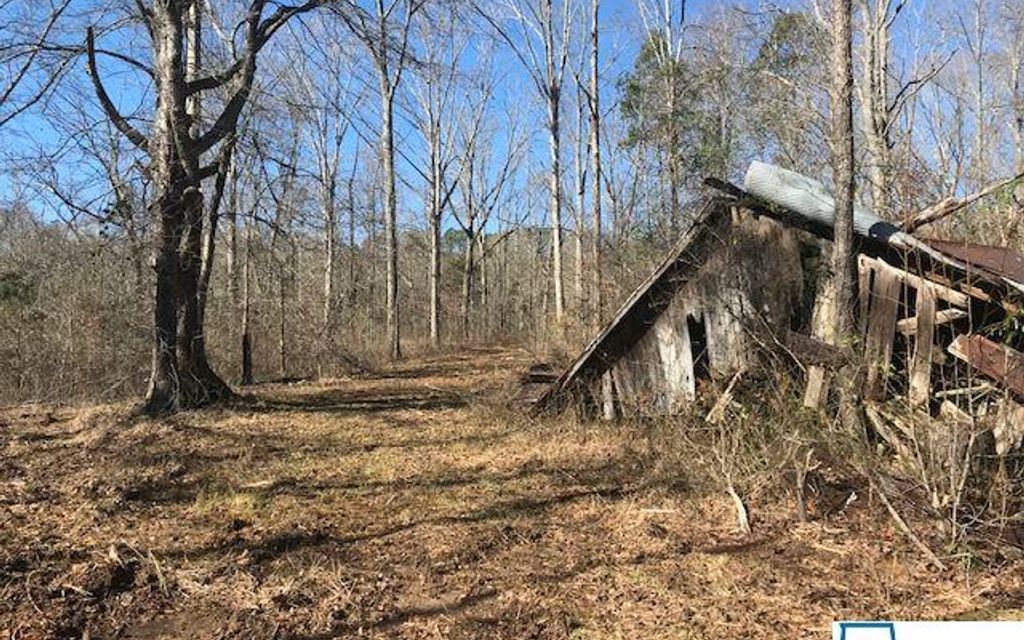 96 acres, Goodwater, AL, Property ID 10387787 Land and Farm