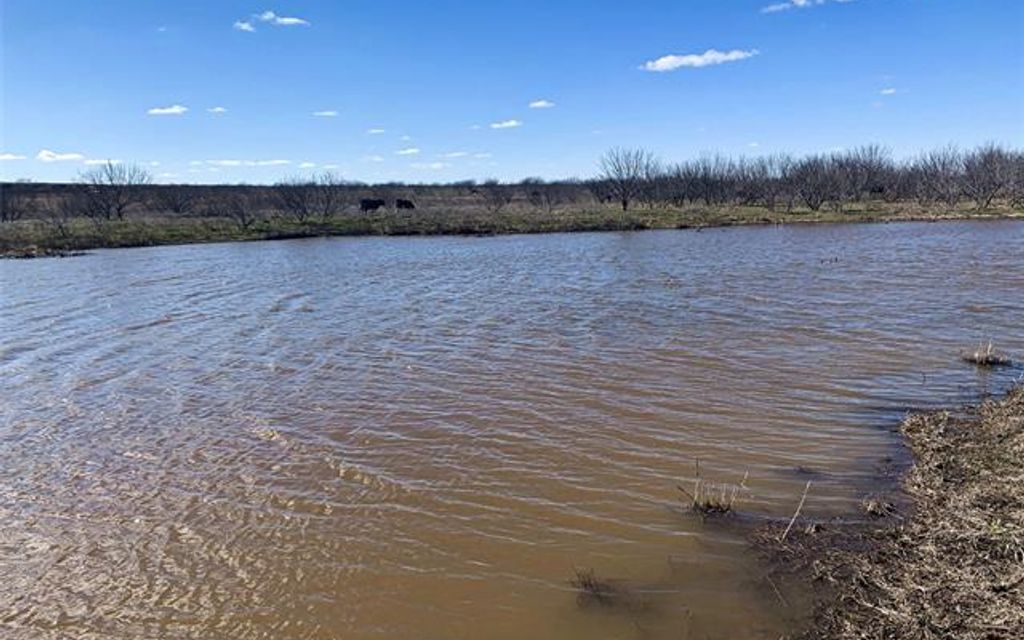 417.31 acres, Bluegrove, TX, Property ID 10389090 Land and Farm