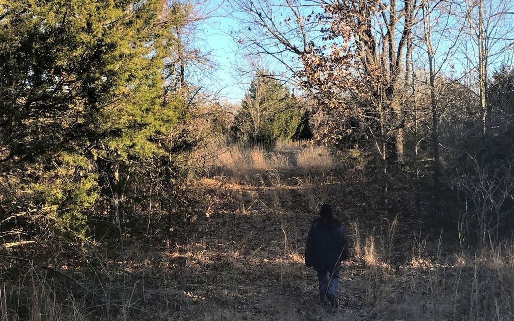 5 acres, Coleman, OK, Property ID 10389308 Land and Farm