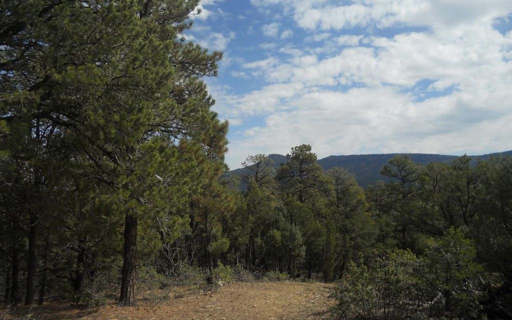 35.1 acres, Trinidad, CO, Property ID 10395371 Land and Farm