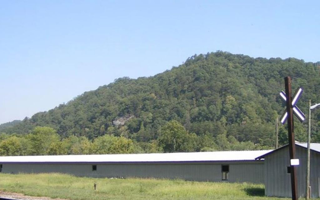 99 acres, Whitehouse, KY, Property ID 10395640 Land and Farm