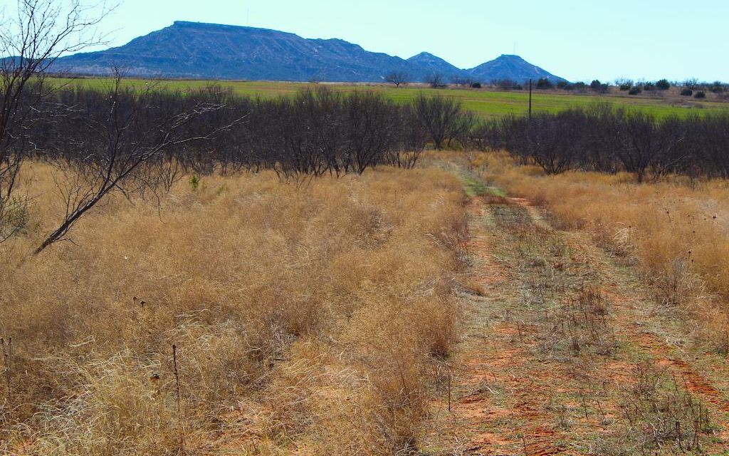 166 acres, Aspermont, TX, Property ID 10396965 Land and Farm