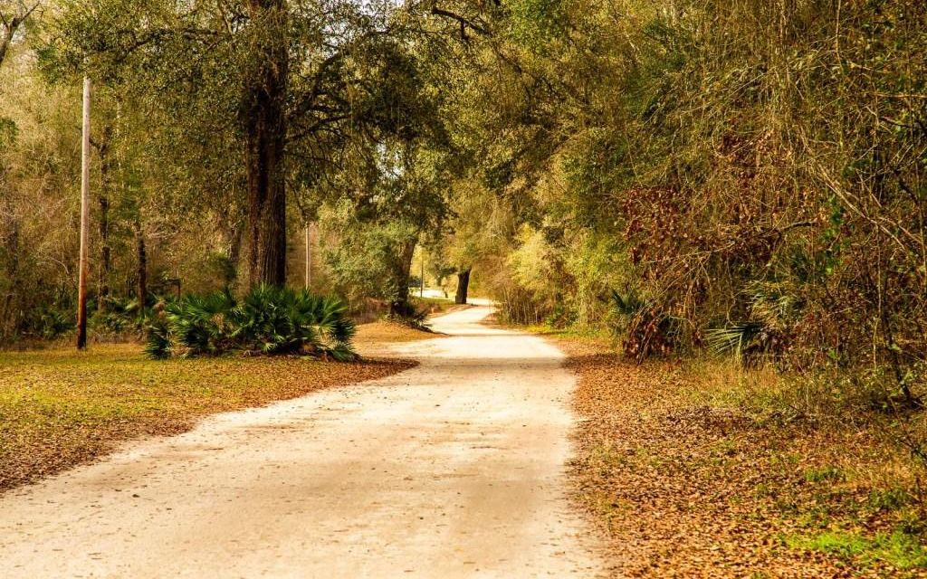 5 acres, Mayo, FL, Property ID 10401156 Land and Farm