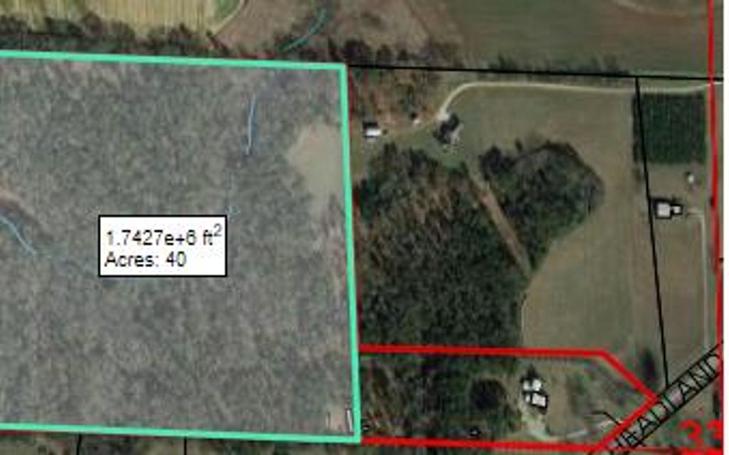 40 acres, Headland, AL, Property ID 10404252 Land and Farm