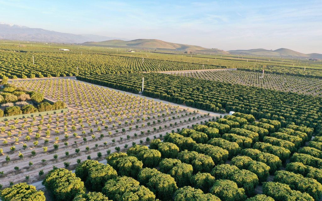 28.55 acres, Ivanhoe, CA, Property ID 10415137 Land and Farm