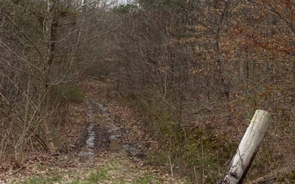 202 acres, Rush, KY, Property ID 10427196 Land and Farm