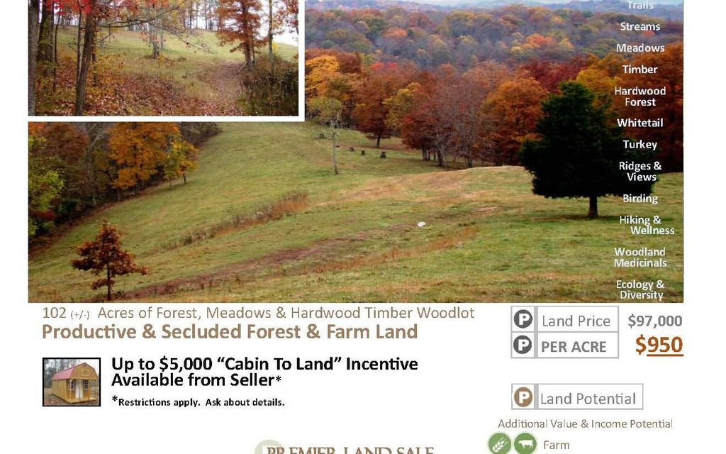 102 acres, Branchland, WV, Property ID 10420172 Land and Farm