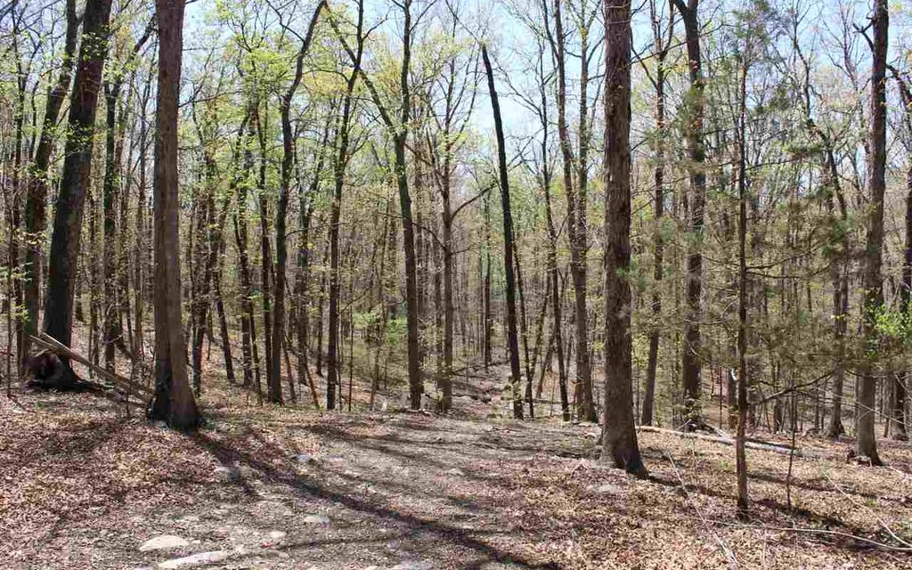 40.3 acres, Strasburg, VA, Property ID 10430867 Land and Farm