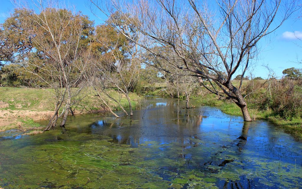 141.55 acres, Ezzell, TX, Property ID 10438506 Land and Farm