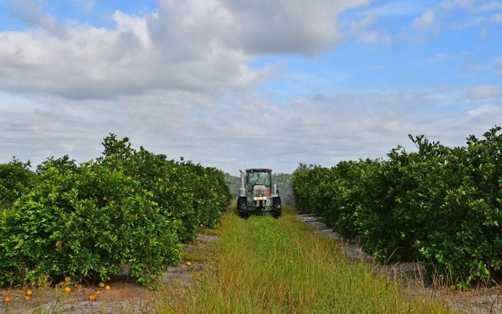 11100 acres, Vero Beach, FL, Property ID 10443614 Land and Farm