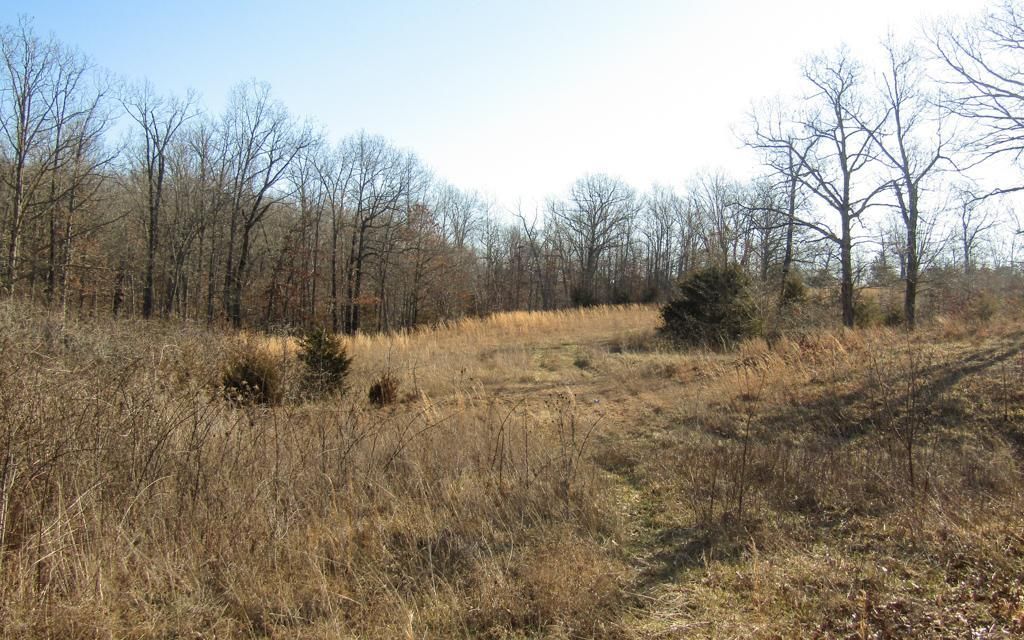 34 acres, Grovespring, MO, Property ID 10415401 Land and Farm