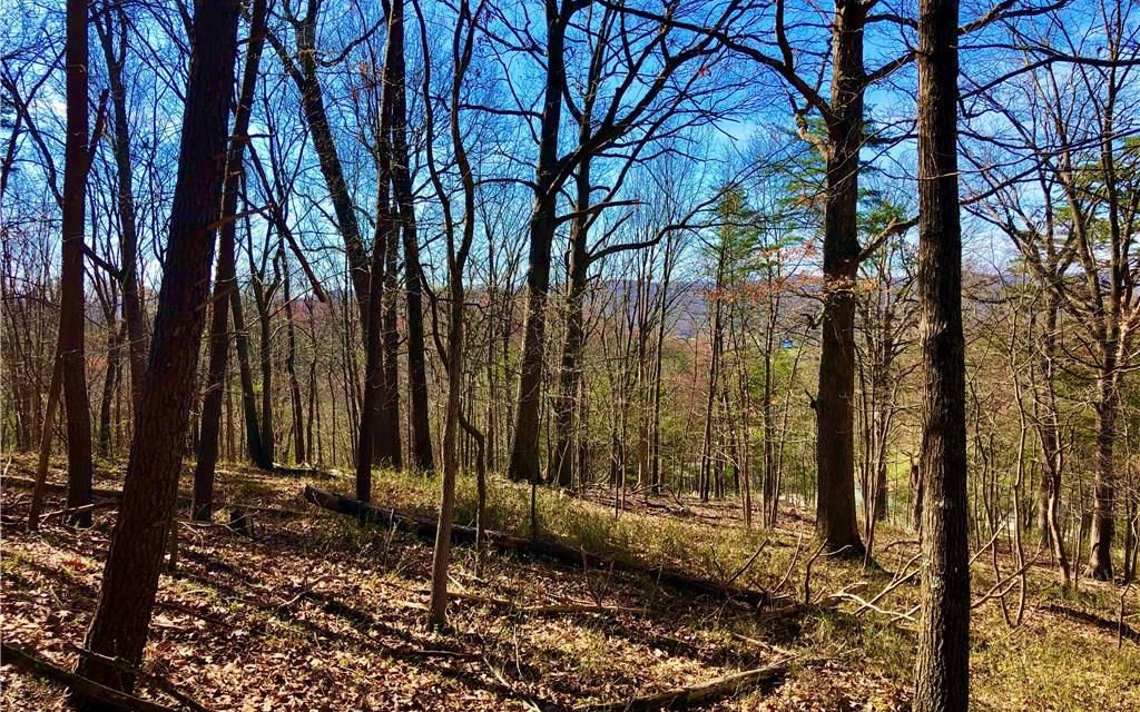 10.47 acres, Winfield, WV, Property ID 10462400 Land and Farm