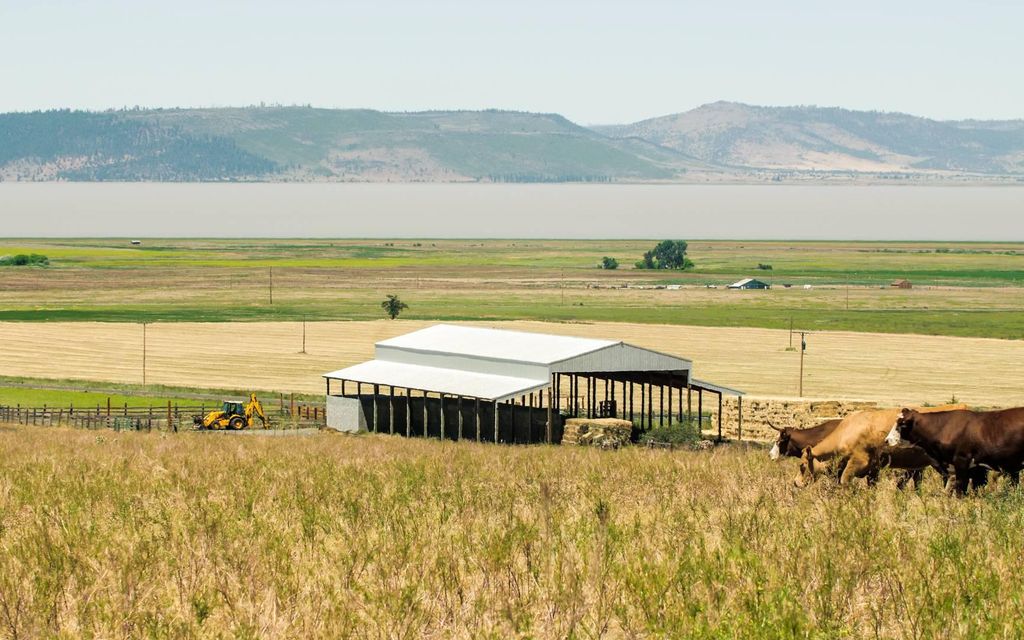 1193.61 acres, Davis Creek, CA, Property ID 8269599 Land and Farm