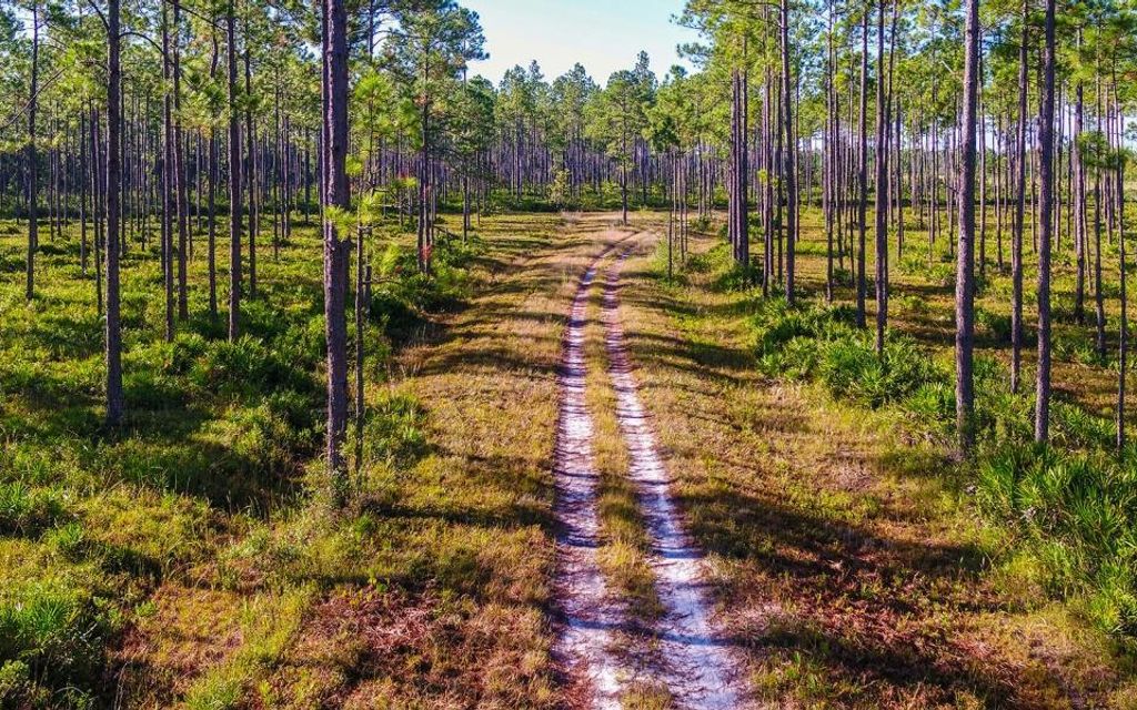 2000 acres, Callahan, FL, Property ID 10038270 Land and Farm