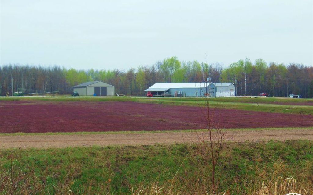 294.03 acres, Tomahawk, WI, Property ID 8091351 Land and Farm