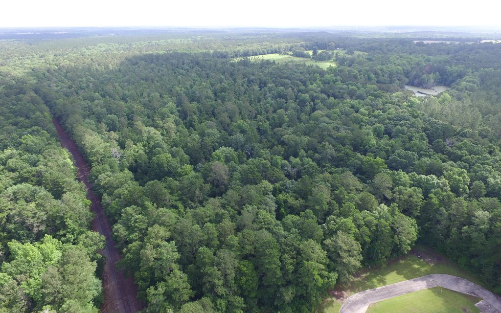 60 acres, Attapulgus, GA, Property ID 10497010 Land and Farm