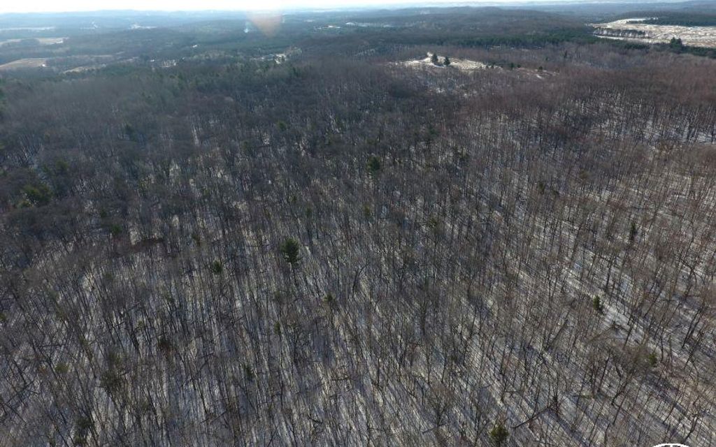 47.48 acres, Wheeler, WI, Property ID 9281072 Land and Farm