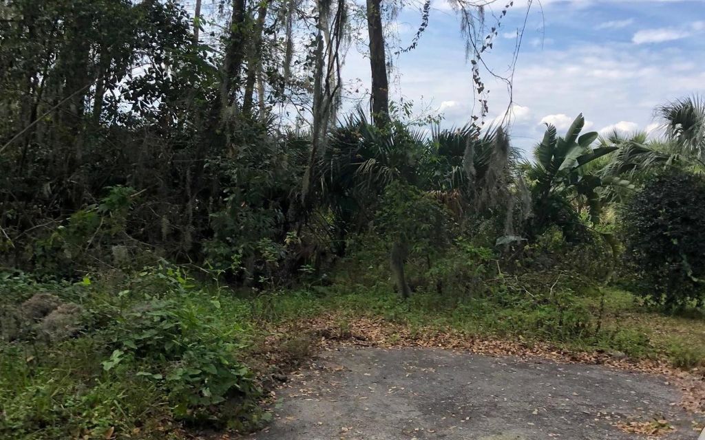 3 acres, Jacksonville, FL, Property ID 10500385 Land and Farm