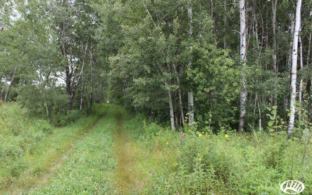 14.04 acres, Aitkin, MN, Property ID 9712625 Land and Farm